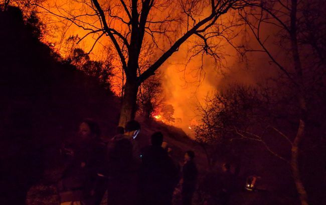 В Калифорнии эвакуировали несколько тысяч человек из-за лесных пожаров