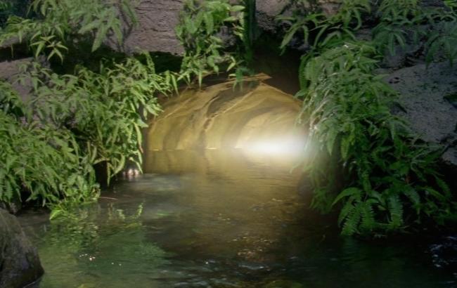 Гороскоп на сегодня, 20 ноября