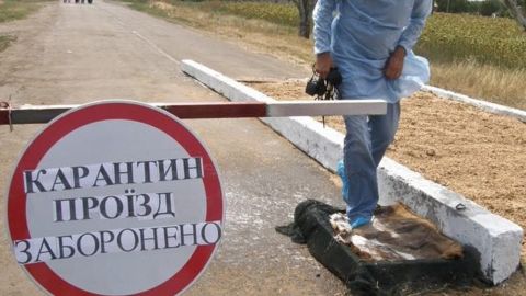 В Україні планують до 2030 року ліквідувати захворюваність на сказ