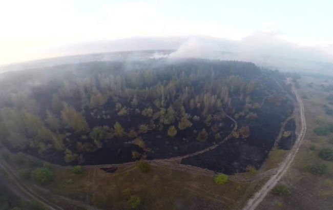 В Полтавской области второй день пытаются потушить лесной пожар