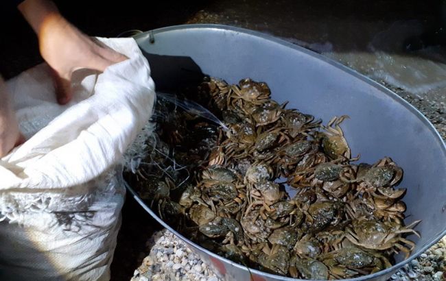 Поліція затримала браконьєрів з червонокнижними крабами на 90 млн гривень