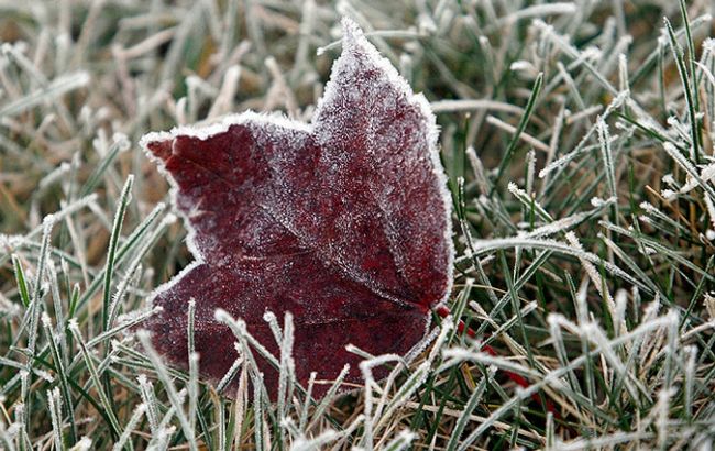 Синоптики попереджають про заморозки на заході України