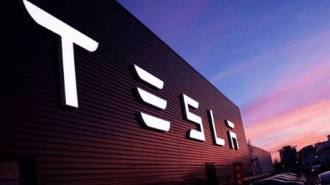 Cуд Германии разрешил Tesla продолжить расчистку участка для строительства завода