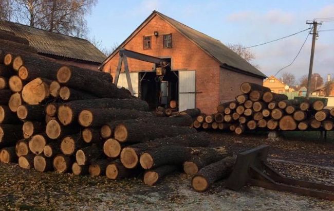 ДБР розлідує привласнення майже 100 млн грн посадовцями лісгоспу