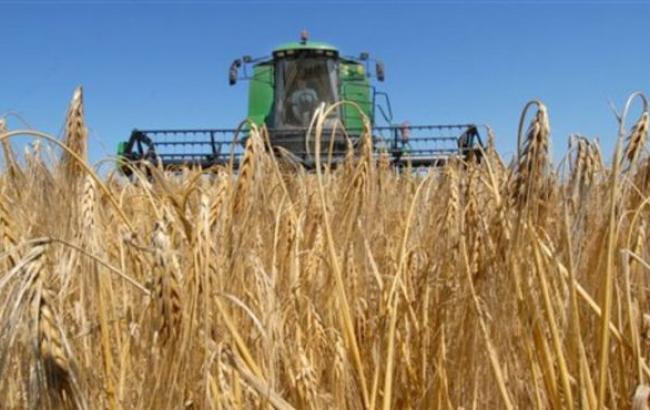 Україна займає друге місце у світі за співвідношенням експорт/імпорт зернових, - МінАП