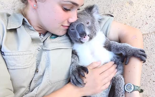 Давай обниматься: топ-10 видео с любвеобильными животными