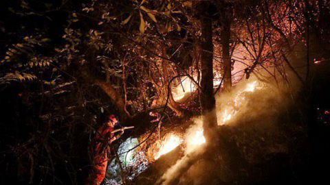 У лісовій пожежі в Китаї загинули 26 пожежних