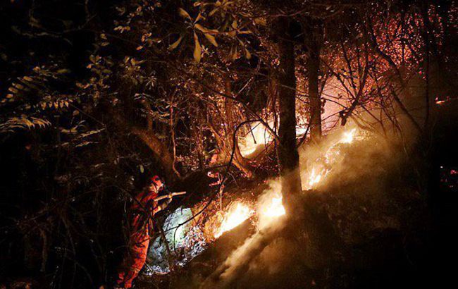 У лісовій пожежі в Китаї загинули 26 пожежних