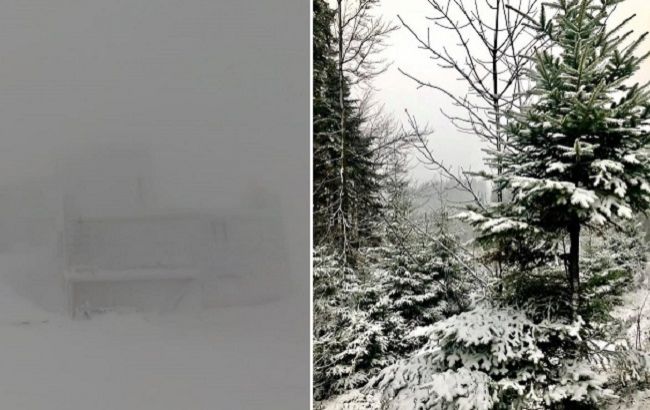 Украину засыпает снегом: живописные зимние фото