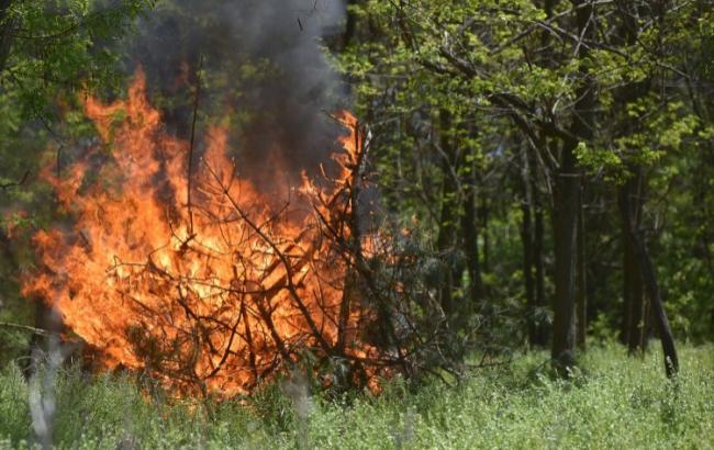 ГСЧС предупреждает о пожарной опасности в некоторых областях Украины 16-18 июня