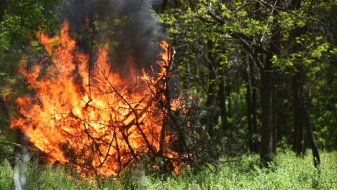 В Украине сохранится высокий уровень пожарной опасности