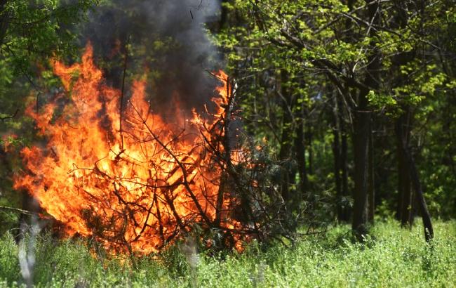 ГСЧС осталось ликвидировать один очаг возгорания на полигоне в Днепропетровской области