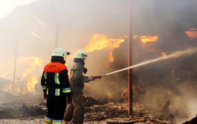 Лісову пожежу в Дніпропетровській області практично ліквідовано, - ДСНС