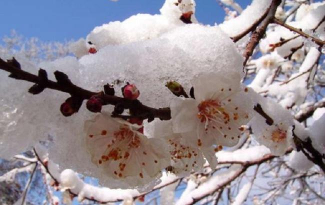 Синоптики предупреждают украинцев об ухудшении погодных условий 24-25 марта