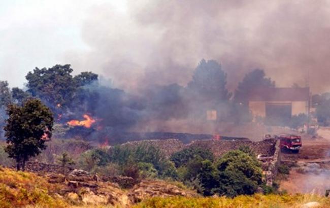 В Испании из-за лесных пожаров эвакуировали более 2,4 тысячи человек