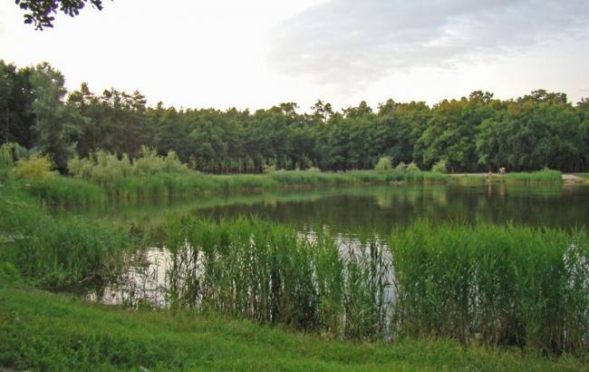 Апеляційний суд повернув Києву землю на Жуковому острові вартістю понад 107 млн гривень