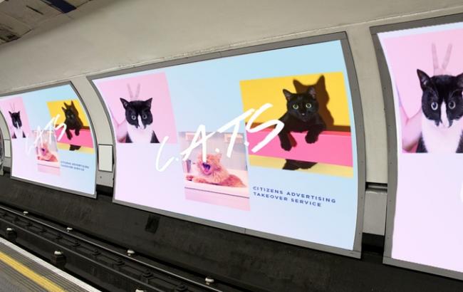 Рекламу в метро Лондона заменят на фотографии котов