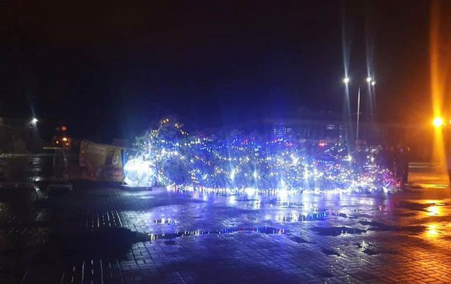 В Каневе рухнула главная новогодняя елка: винят непогоду (фото)