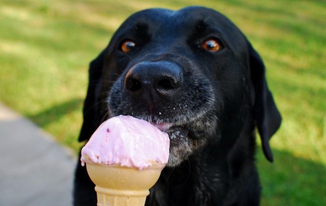 Погода на завтра: в Україні без опадів, температура до +36