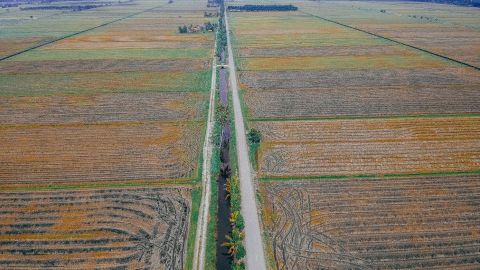 Почти 70% украинцев уверены, что олигархи скупят большую часть земель