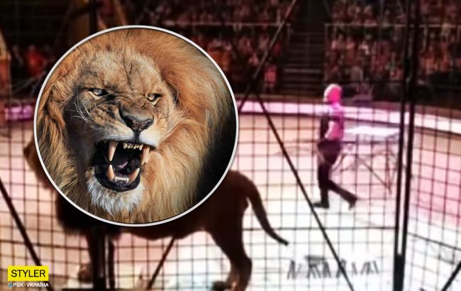 Животные боялись: в Луганске лев напал на дрессировщика во время представления
