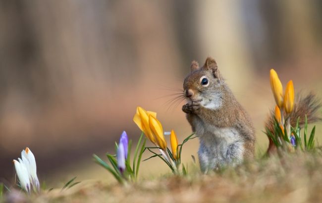 Погода на сегодня: на западе Украины дожди, температура до +23