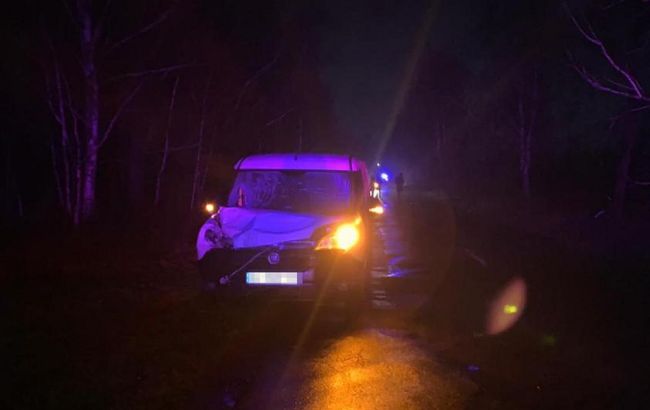 В Житомирской области авто сбило двух детей, один ребенок погиб