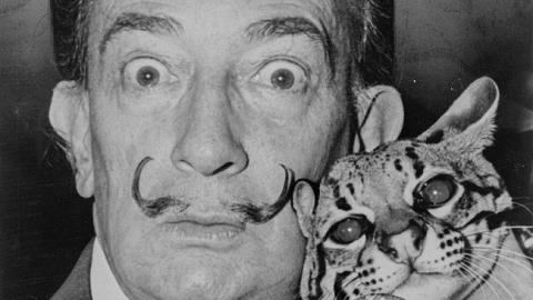 В одной из частных коллекций найдена неизвестная картина Сальвадора Дали