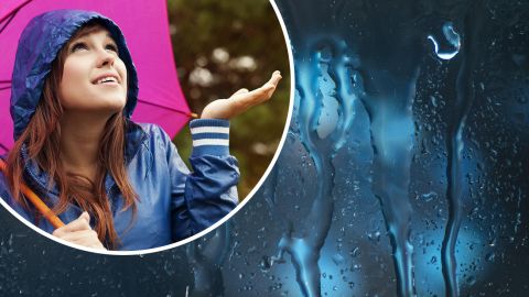 Парасолі знадобляться не всім: синоптики назвали області з хорошою погодою