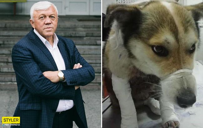 Привязал собаку к автомобилю: чиновнику грозит большой тюремный срок