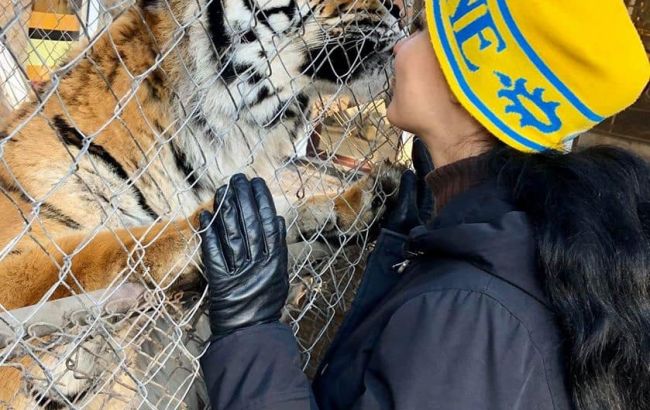 У Києві кинули напризволяще тигрів: історія отримала радісний фінал