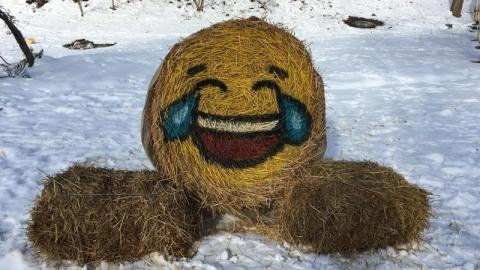 Смішно до сліз: Київ "захопили" гігантські смайлики