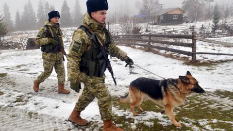 Левеня і краби: прикордонники розповіли про незвичайних випадках контрабанди (відео)