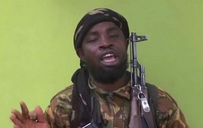 В Нигерии в результате авиаудара ранен главарь террористов "Боко Харам"