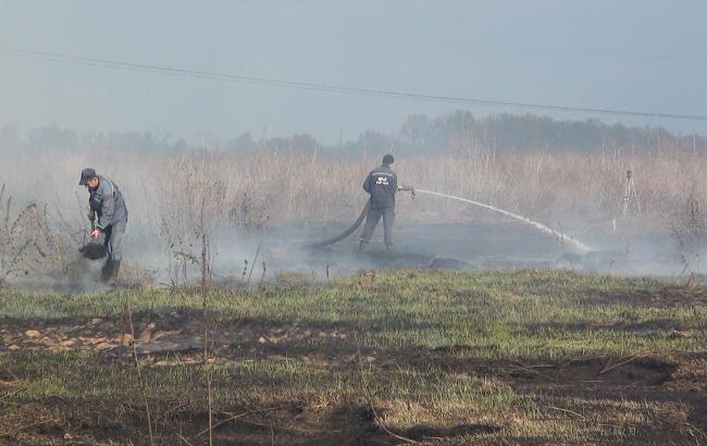 Під Києвом гасять 17 осередків тління торфу