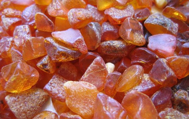 ДПС виявила 4 місця незаконного видобутку бурштину у Волинській і Житомирській областях