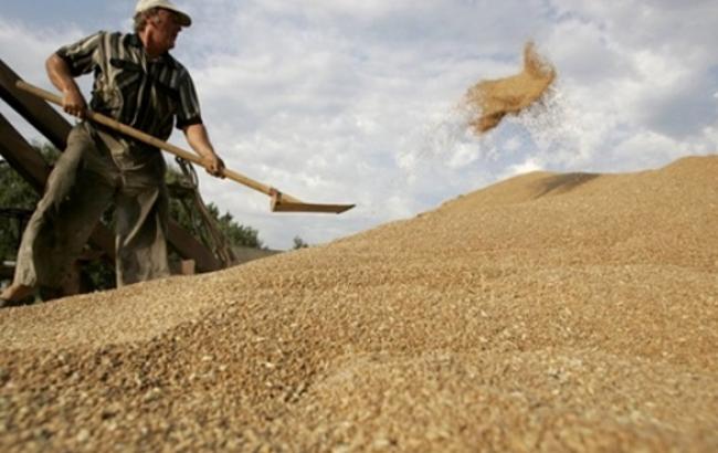 Украина экспортировала 16,8 млн т зерна