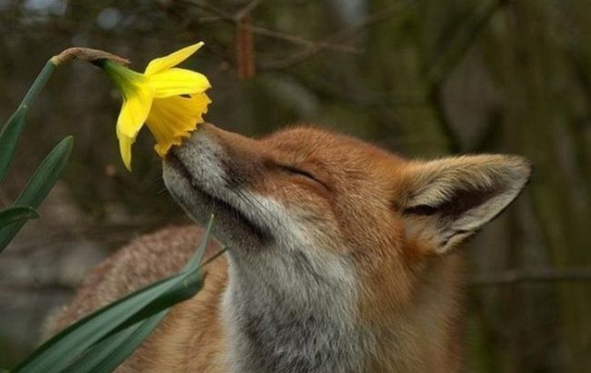 Погода на сегодня: в Украине переменная облачность, без осадков, температура до +27