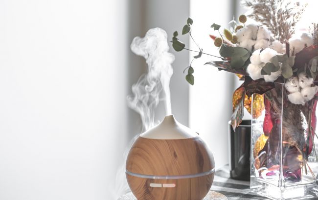 Вот где категорически не стоит ставить увлажнитель воздуха: принесет много вреда