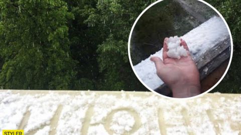 Погода сошла с ума: под Запорожьем неожиданно выпал снег