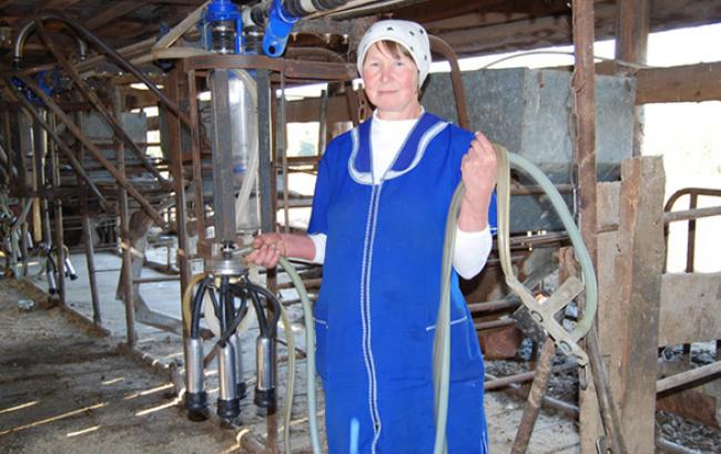 Україна розраховує отримати від ЄС фінальний звіт про якість молока в червні-липні 2015 р