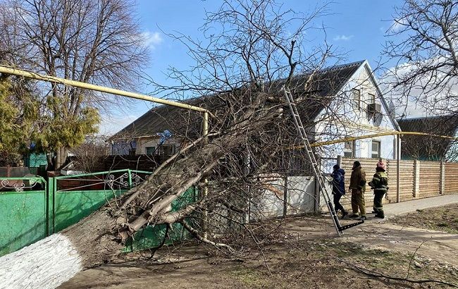 Оборванные ЛЭП, поваленные деревья и жертва стихии: последствия урагана в Украине