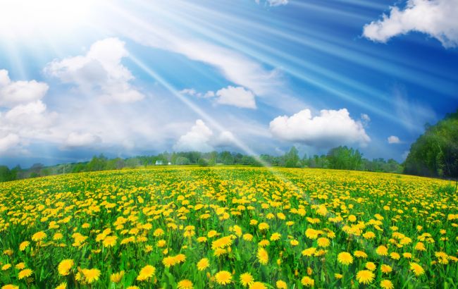 Погода на сегодня: на западе Украины дожди, температура до +31