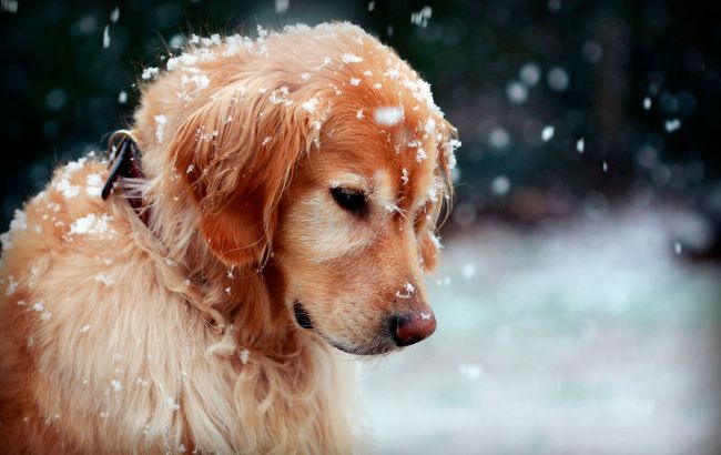 Погода на сьогодні: в Україні хмарно, температура опуститься до -7