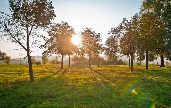 Погода на завтра: на востоке Украины дожди, температура до +31