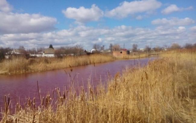 У Ніжині озеро забарвилося в рожевий колір: екологи б'ють на сполох