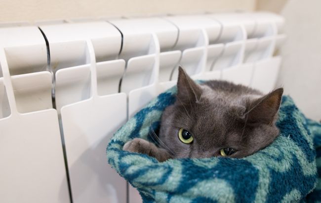 В Кривом Роге ряд районов остались без тепла: в чем причина