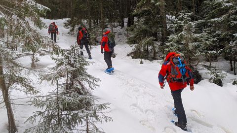 Карпаты засыпает снегом. Есть угроза схождения лавин