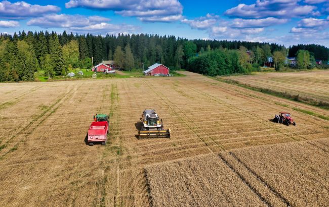 Одеська область збере менше врожаю, ніж минулого року: названо причину