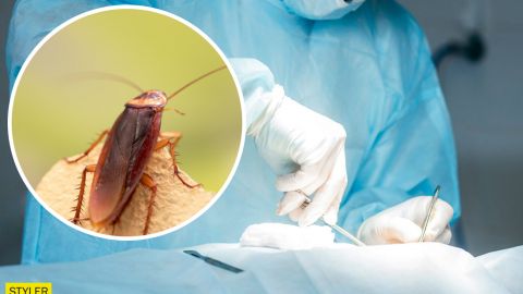 Проснулся от боли и щекотки: в Тернополе таракан залез в ухо подростку и ползал там